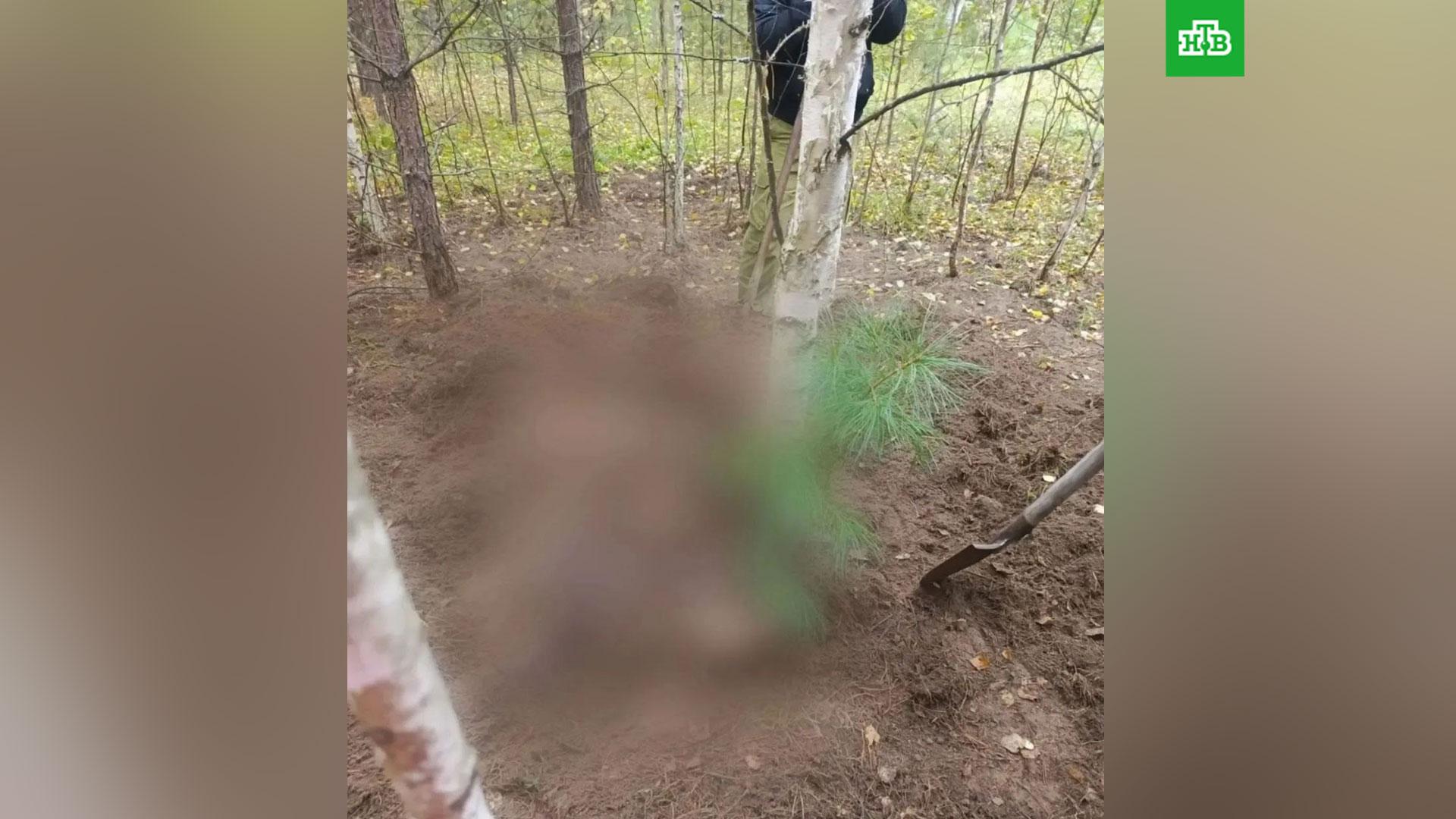 Медведь убил двух женщин в Красноярском крае