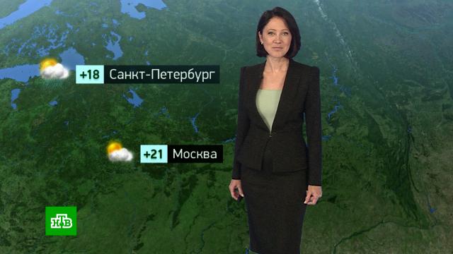 �������� ������� ������ �� 3&nbsp;��������.���.Ru: �������, �����, ��������� ���������� ���