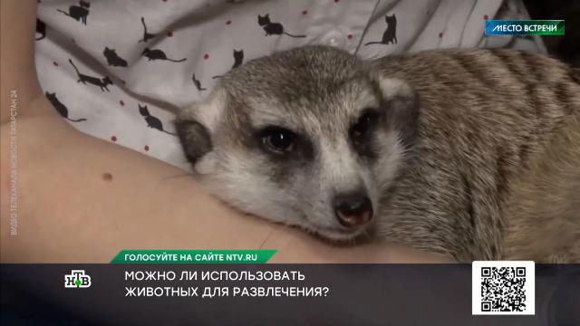 ������� ������ �� ������ ���������� ������� ������������ ������ �&nbsp;���������.��������, �����, ����������������, ������, ���������.���.Ru: �������, �����, ��������� ���������� ���