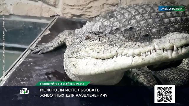 ��� ���������� �� ������� ��������� ���������.��������, ��������.���.Ru: �������, �����, ��������� ���������� ���