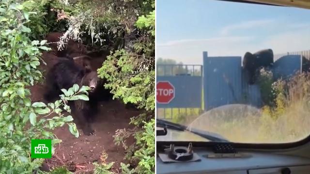 �&nbsp;������� ��-�� �������� ������� ��� ��������� ��������� ����� �&nbsp;���������.�������, ��������� �������, �������, ���������.���.Ru: �������, �����, ��������� ���������� ���