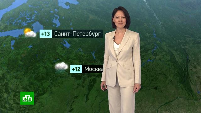 �������� ������� ������ �� 7&nbsp;��������.������, ������� ������.���.Ru: �������, �����, ��������� ���������� ���