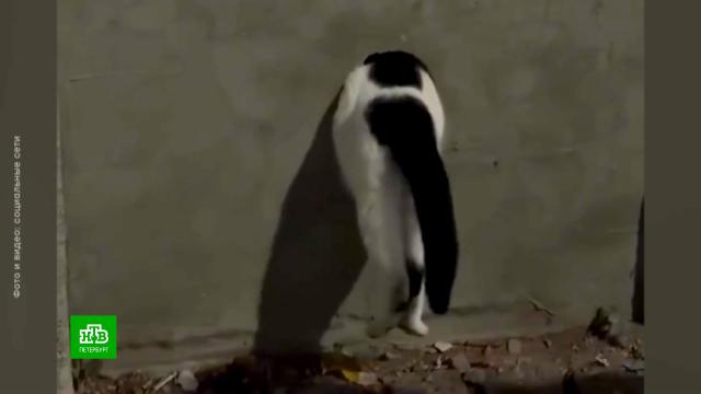 �&nbsp;���������� ������ ��� ������� �&nbsp;������ �&nbsp;���� ��������.�����-���������, ��������, ���� � ������.���.Ru: �������, �����, ��������� ���������� ���