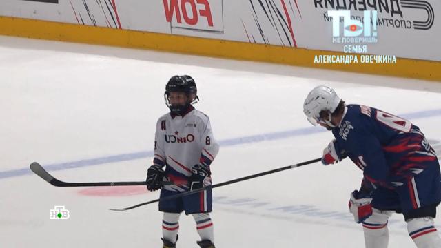 &laquo;�� �����������&raquo;: 8-������ ��� �������� ������ ������ �������� ����������.�������, ������������, ������.���.Ru: �������, �����, ��������� ���������� ���