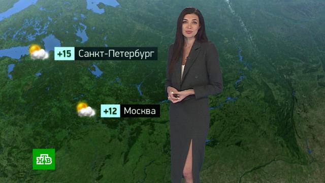 �������� ������� ������ �� 1&nbsp;�������.������, ������� ������.���.Ru: �������, �����, ��������� ���������� ���