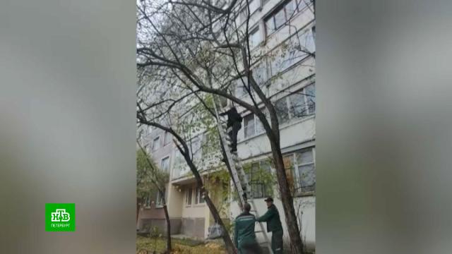 ������������� ������� ����������� ����� ���� �&nbsp;������������ ������.�����-���������, ��������.���.Ru: �������, �����, ��������� ���������� ���