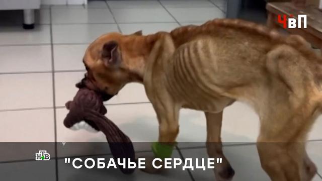 �� ����� ���� ����� ����� �������� ������ ������� ����� ������� ����.������������ �������, �����, ���� � ���������, ����������, ��������, �������������, ������.���.Ru: �������, �����, ��������� ���������� ���