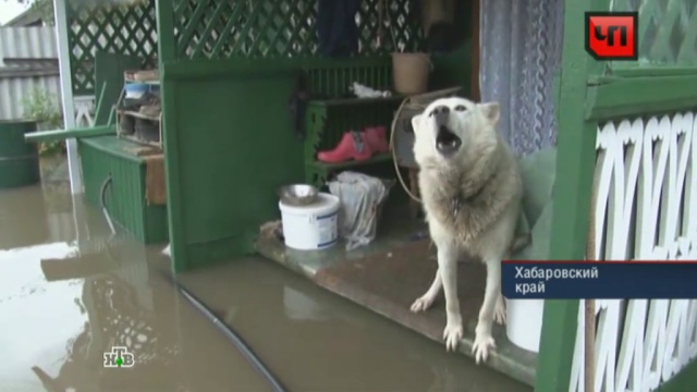 20 августа 2013 года