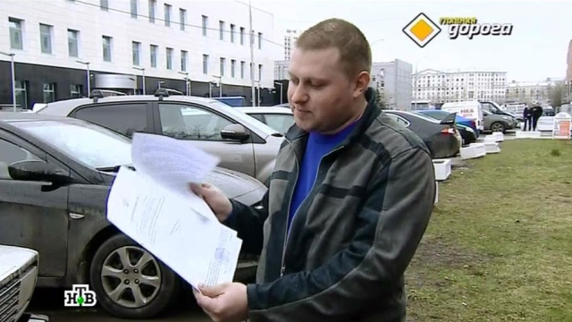 Перевозка животных, ОСАГО в наказание, автомобильные фобии