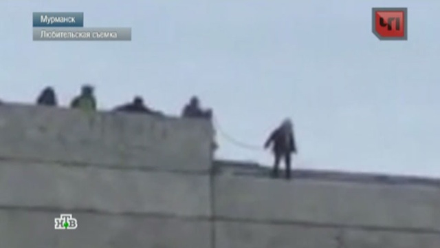 23 ноября 2015 года