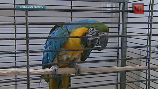 14 декабря 2015 года