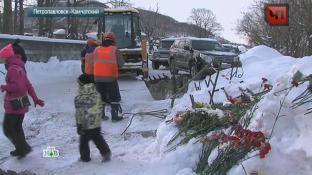 29 января 2016 года