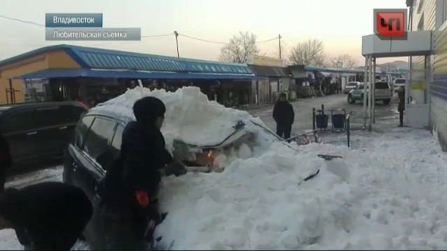 5 февраля 2016 года