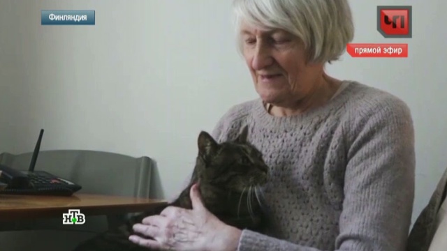 15 февраля 2016 года