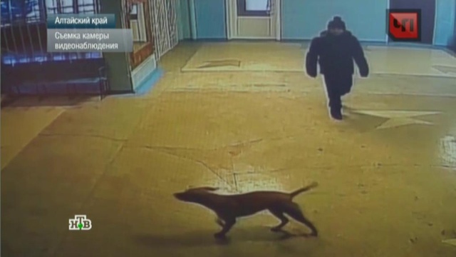 17 февраля 2016 года