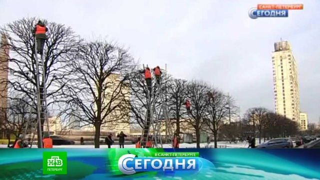 18 февраля 2016 года. 13:20