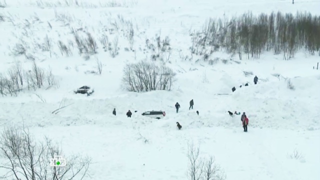 19 февраля 2016 года