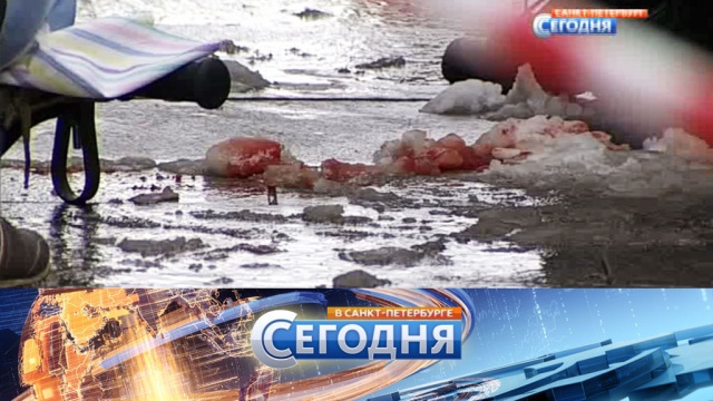 25 февраля 2016 года. 19:20