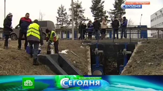 15 марта 2016 года. 16:00