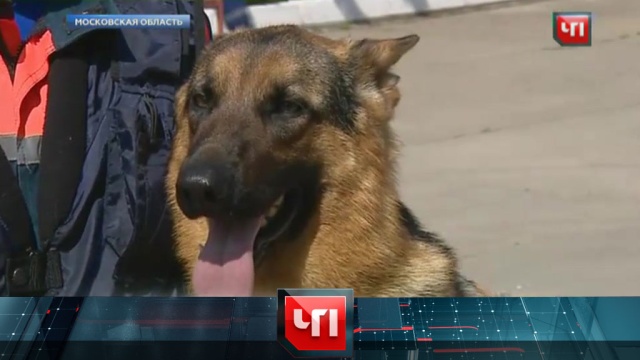 17 июня 2016 года