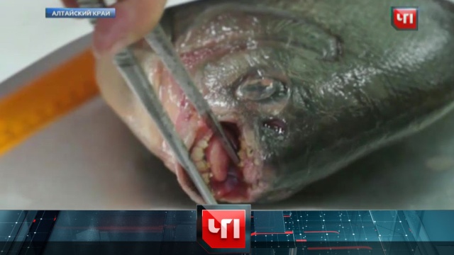 27 июля 2016 года