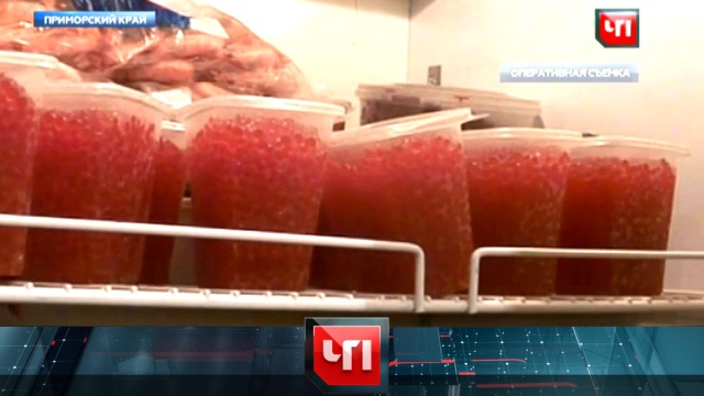 28 июля 2016 года