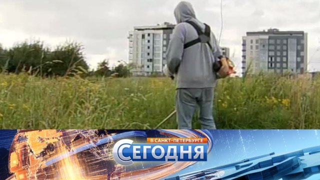 8 августа 2016 года. 19:20