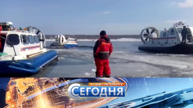 17 февраля 2017 года. 19:20