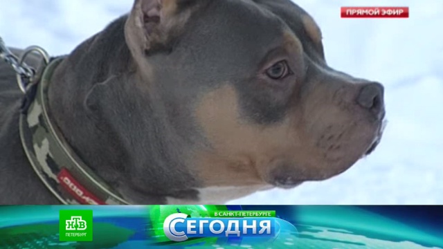 1 марта 2017 года. 16:15