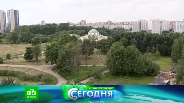 28 июня 2017 года. 16:15