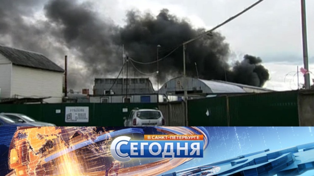 6 июля 2017 года. 19:20