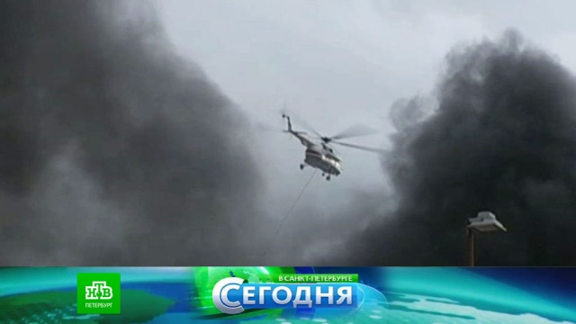 7 июля 2017 года. 16:15