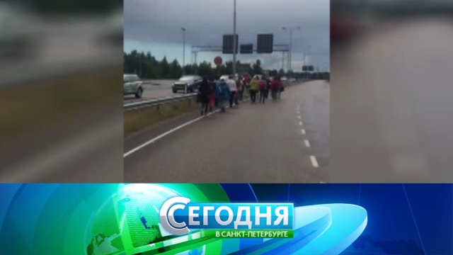 24 июля 2017 года. 16:15