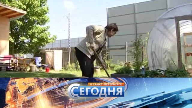 3 августа 2017 года. 19:20