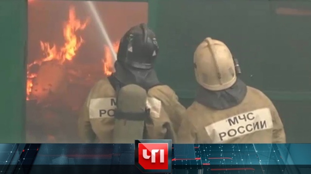 22 августа 2017 года. 13:25