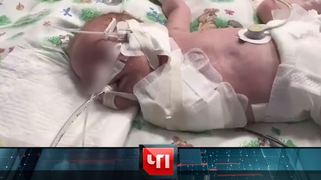 24 августа 2017 года. 18:30