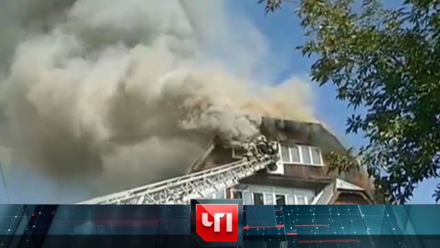 28 августа 2017 года. 13:25