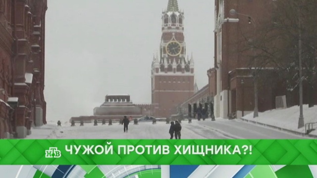 Чужой против хищника?!