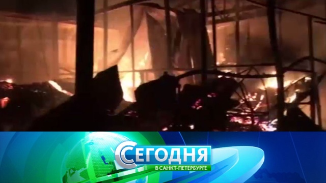 22 января 2018 года. 16:15