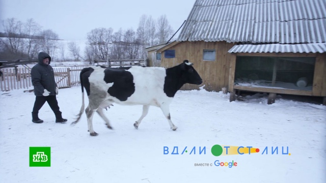 «Вдали от столиц»: «Цифровая деревня»