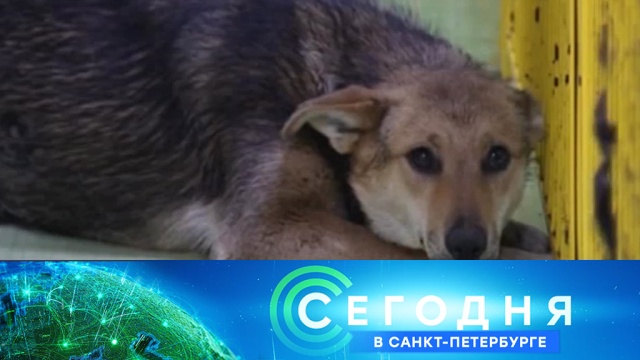 9 октября 2018 года. 16:15