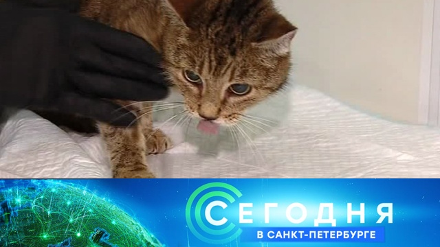 11 октября 2018 года. 19:20