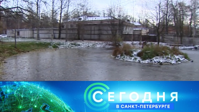 30 октября 2018 года. 19:20