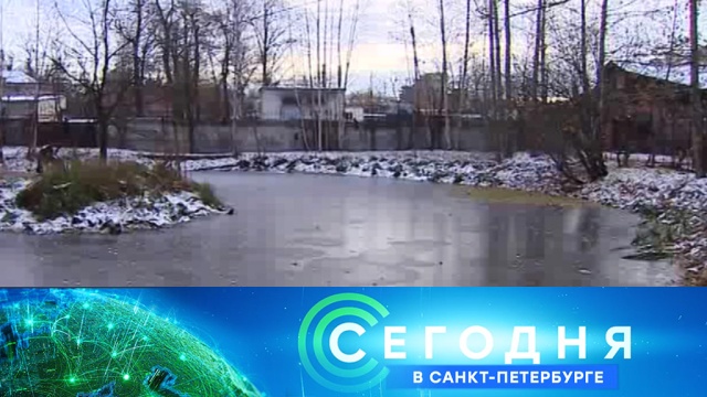 8 ноября 2018 года. 19:20