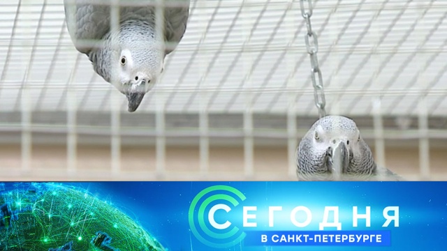 5 марта 2019 года. 19:20