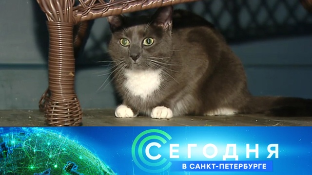 27 сентября 2019 года. 16:15