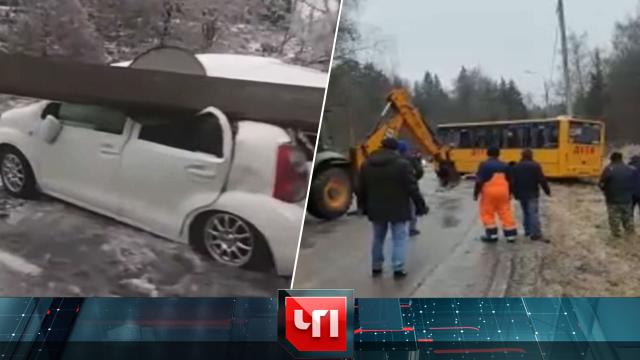 19 ноября 2020 года