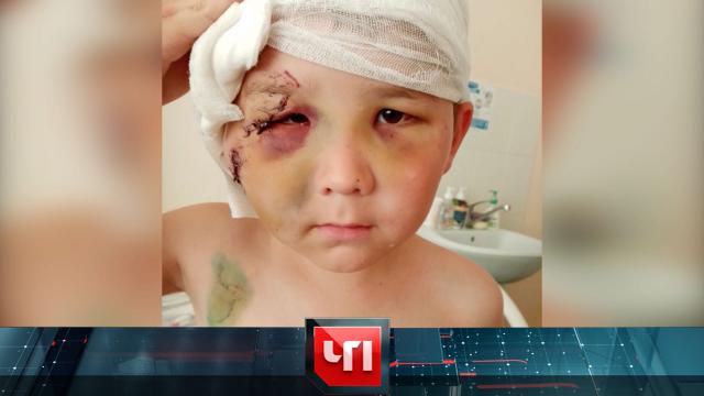 24 ноября 2020 года