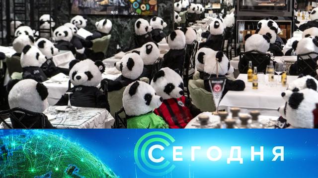 26 ноября 2020 года. 13:00