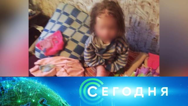 25 ноября 2020 года. 23:35